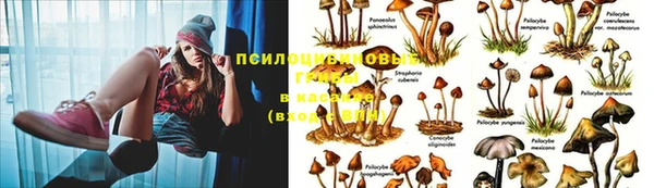 кокаин премиум Аркадак
