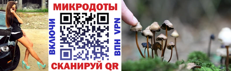 omg ССЫЛКА  Таруса  Галлюциногенные грибы GOLDEN TEACHER 